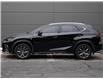 2020 Lexus NX 300 Base (Stk: PL7421) in Windsor - Image 4 of 27