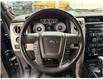 2010 Ford F-150 FX4 (Stk: N8692) in Saint-Eustache - Image 15 of 23
