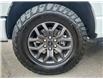 2023 Ford F-150 Tremor (Stk: N16986) in Newmarket - Image 9 of 29