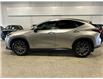 2025 Lexus NX 250 Base (Stk: P13810) in Calgary - Image 2 of 18
