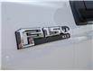 2019 Ford F-150 XLT (Stk: SU7591) in Calgary - Image 3 of 23