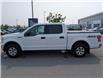 2019 Ford F-150 XLT (Stk: SU7591) in Calgary - Image 6 of 23