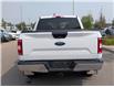 2019 Ford F-150 XLT (Stk: SU7591) in Calgary - Image 8 of 23