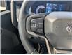 2024 Ford Bronco Black Diamond (Stk: 03640P) in Owen Sound - Image 12 of 20