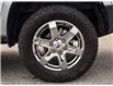 2024 Ford Ranger Lariat (Stk: VFVH00943A) in Chatham - Image 13 of 34