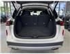 2022 Infiniti QX50 ESSENTIAL (Stk: 80031) in Mississauga - Image 22 of 25