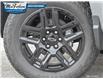 2025 Chevrolet Silverado 1500 LT Trail Boss (Stk: 5330500) in Petrolia - Image 6 of 27