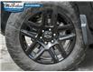 2024 Chevrolet Silverado 1500 LT Trail Boss (Stk: 5350091) in Petrolia - Image 6 of 27