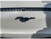 2025 Ford Mustang Mach-E Select (Stk: 0E5303) in Kamloops - Image 9 of 26