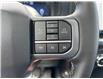 2025 Ford F-150 Lariat (Stk: 25T851) in CRESTON - Image 22 of 25
