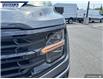 2025 Ford F-150 XLT (Stk: 27375) in Dartmouth - Image 8 of 24