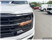 2025 Ford F-150 XLT (Stk: 27381) in Dartmouth - Image 8 of 24