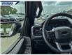 2025 Ford F-150 XLT (Stk: 27381) in Dartmouth - Image 16 of 24