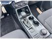 2025 Ford Ranger XL (Stk: 27357) in Dartmouth - Image 17 of 24