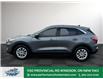 2022 Ford Escape SE (Stk: TL51620) in Windsor - Image 4 of 27