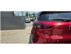 2022 Mazda CX-3 GT (Stk: PM4462) in Ottawa - Image 6 of 24