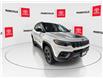 2023 Jeep Compass Trailhawk (Stk: 11U3875A) in Markham - Image 2 of 38
