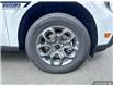 2025 Ford Maverick XLT (Stk: 27308) in Dartmouth - Image 7 of 24