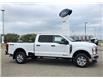 2025 Ford F-350  (Stk: S50459) in Hague - Image 1 of 13