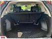 2016 Honda CR-V EX-L (Stk: N100422A) in Saint John - Image 15 of 28