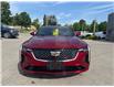 2023 Cadillac CT4 Premium Luxury (Stk: U8845A) in Uxbridge - Image 3 of 11