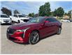 2023 Cadillac CT4 Premium Luxury (Stk: U8845A) in Uxbridge - Image 4 of 11