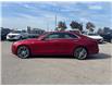 2023 Cadillac CT4 Premium Luxury (Stk: U8845A) in Uxbridge - Image 5 of 11