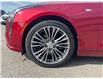 2023 Cadillac CT4 Premium Luxury (Stk: U8845A) in Uxbridge - Image 11 of 11