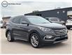 2017 Hyundai Santa Fe Sport 2.0T Limited (Stk: 25T0635A) in Winnipeg - Image 1 of 23