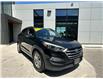 2017 Hyundai Tucson Base (Stk: H10057A) in Toronto - Image 3 of 22