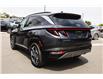 2023 Hyundai Tucson Hybrid Ultimate (Stk: K25225A) in Kamloops - Image 7 of 18