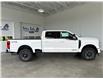 2025 Ford F-350  (Stk: 25279) in Port Alberni - Image 3 of 25