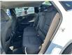 2017 Chevrolet Malibu 1LT (Stk: DY1397A) in Ottawa - Image 7 of 15