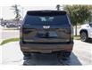 2025 Cadillac Escalade Sport Platinum (Stk: 12689) in Red Deer - Image 3 of 24