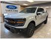 2025 Ford F-150 Tremor (Stk: NA69219) in Shellbrook - Image 1 of 24