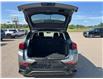 2025 Buick Encore GX Sport Touring (Stk: 19340253) in Pincher Creek - Image 7 of 20