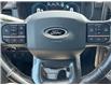 2023 Ford F-150 Tremor (Stk: C25090A) in Claresholm - Image 17 of 22