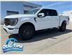 2023 Ford F-150 Tremor (Stk: C25090A) in High River - Image 1 of 22