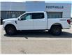2023 Ford F-150 Tremor (Stk: C25090A) in High River - Image 2 of 22