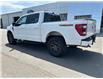 2023 Ford F-150 Tremor (Stk: C25090A) in High River - Image 3 of 22