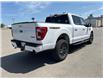 2023 Ford F-150 Tremor (Stk: C25090A) in High River - Image 5 of 22