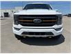 2023 Ford F-150 Tremor (Stk: C25090A) in High River - Image 8 of 22