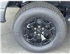 2025 Ford F-150 Lightning XLT (Stk: 25217) in Port Alberni - Image 11 of 23