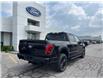 2025 Ford F-150 Lariat (Stk: LFFF00691) in Tilbury - Image 3 of 15