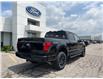 2025 Ford F-150 XLT (Stk: LFFF00583) in Tilbury - Image 3 of 15