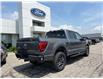 2025 Ford F-150 Tremor (Stk: LFFF00867) in Tilbury - Image 3 of 16