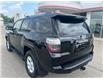 2024 Toyota 4Runner Base (Stk: CP12391) in Chatham - Image 5 of 14