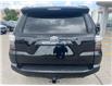 2024 Toyota 4Runner Base (Stk: CP12391) in Chatham - Image 6 of 14