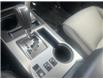 2024 Toyota 4Runner Base (Stk: CP12391) in Chatham - Image 11 of 14