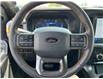 2025 Ford F-150 Tremor (Stk: LFFF00867) in Tilbury - Image 11 of 16